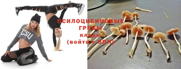 дмт Балабаново