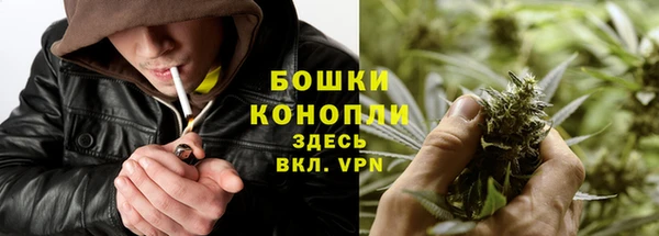 ПСИЛОЦИБИНОВЫЕ ГРИБЫ Балахна