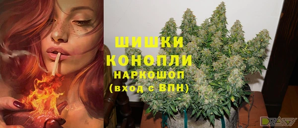 эйфоретик Баксан