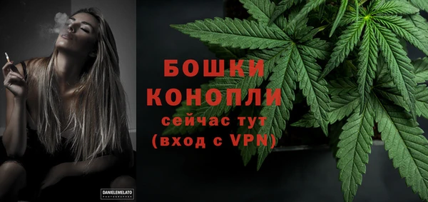 ПСИЛОЦИБИНОВЫЕ ГРИБЫ Балахна